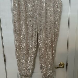Sequin Embellished Women's Pants